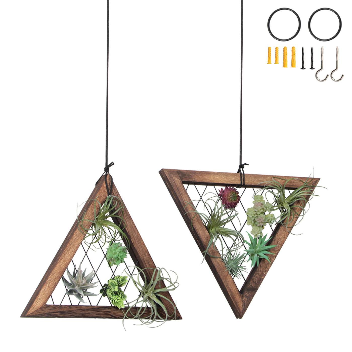 Hanging Triangles x2 Air Plant Hanger – Wildly Urban