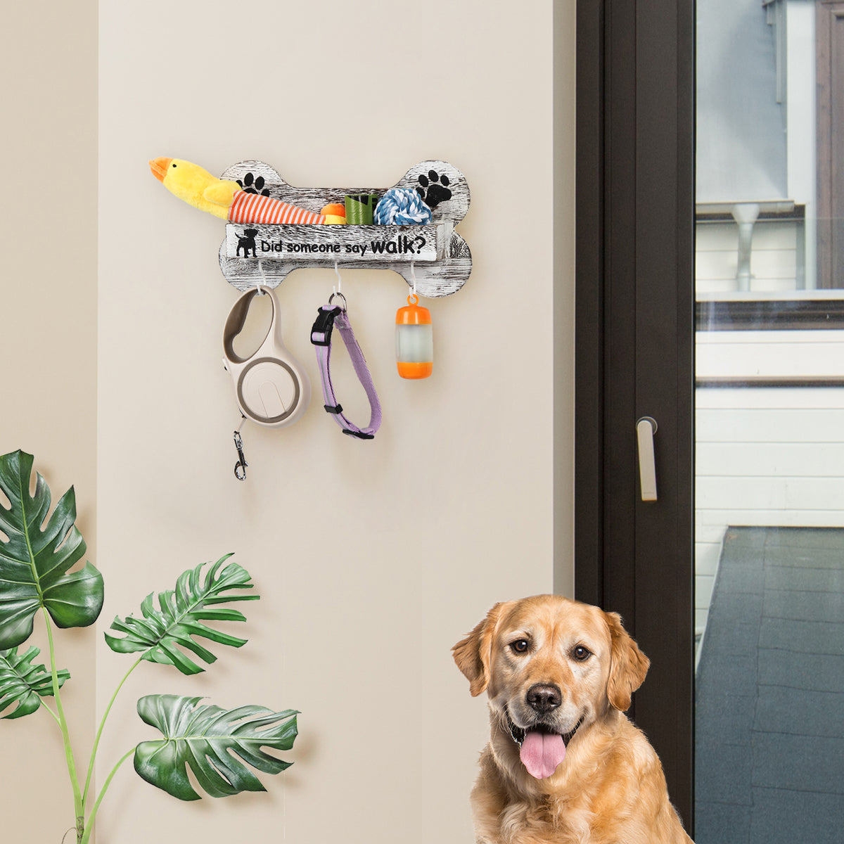 Dog leash wall mount best sale